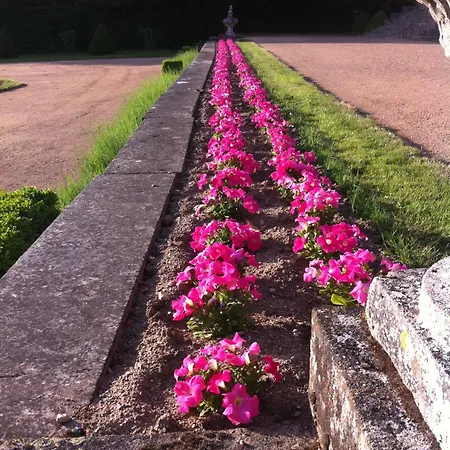 Chateau De Bed & Breakfast