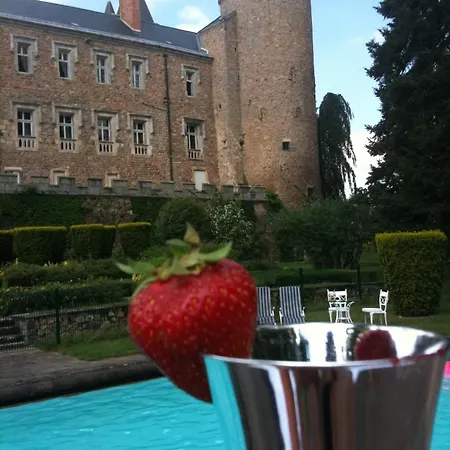 Chateau De * Busset