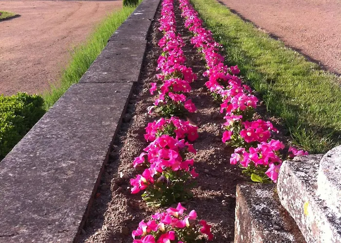 Chateau De Bed & Breakfast