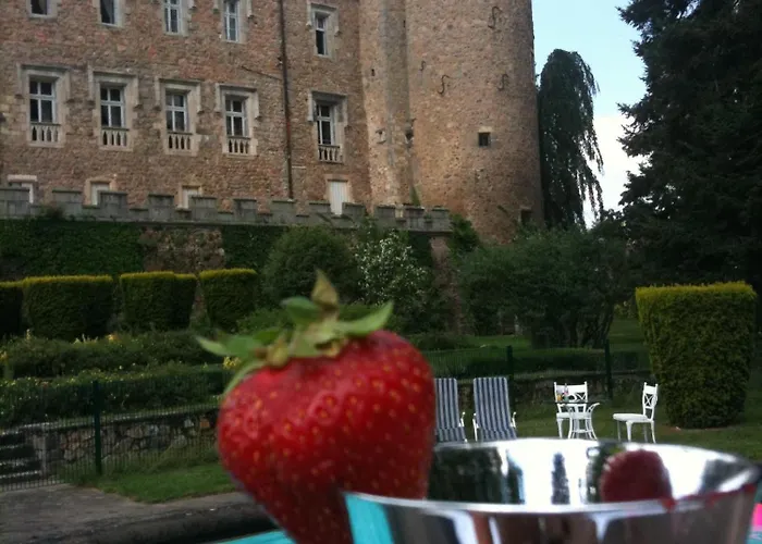 Chateau De 3* Busset